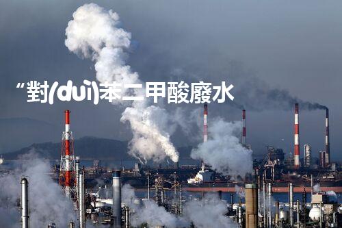“對(duì)苯二甲酸廢水處理，綠色創(chuàng)新引領(lǐng)環(huán)保新篇章”